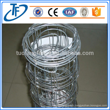 Factory hot sale cattle wire mesh/farm field fence with competitive price